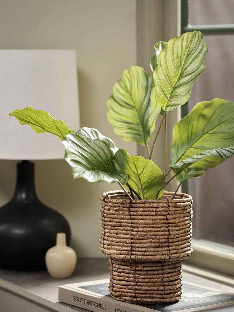 Planta artificial ROLF 55cm verde