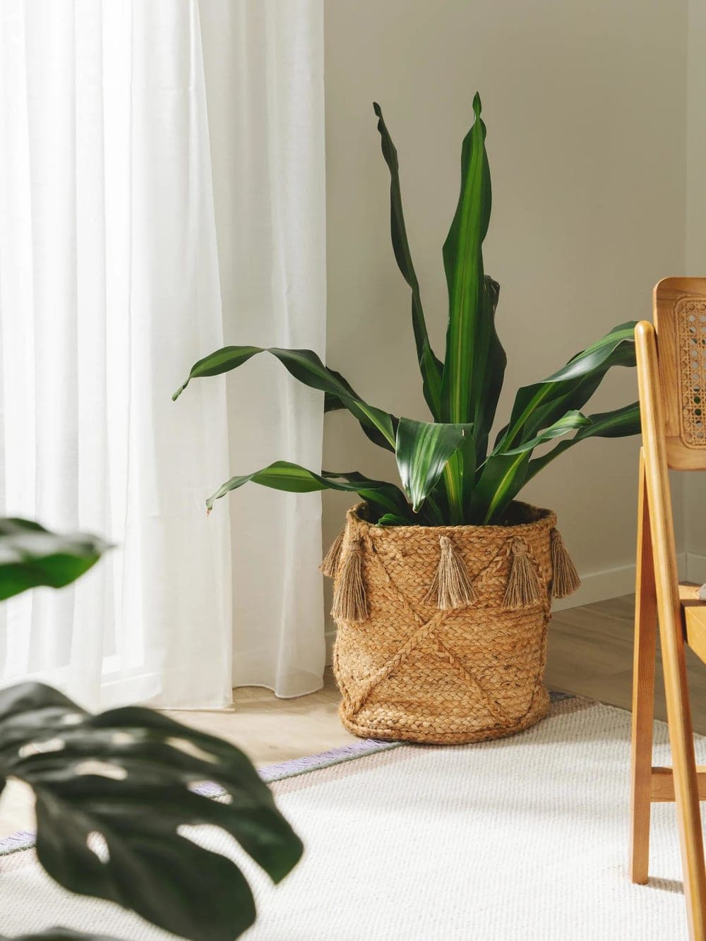 Cesta decorativa de fibras naturales con borlas