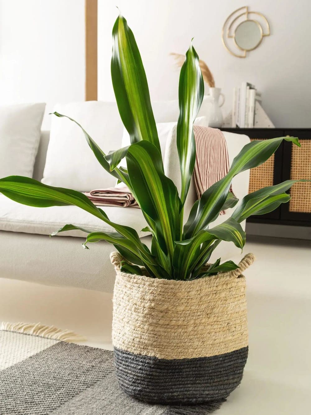 cesta decorativa bicolor, cesta de yute gris y crema